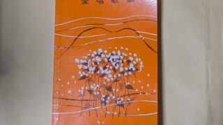 PXL_20240714_044115202.