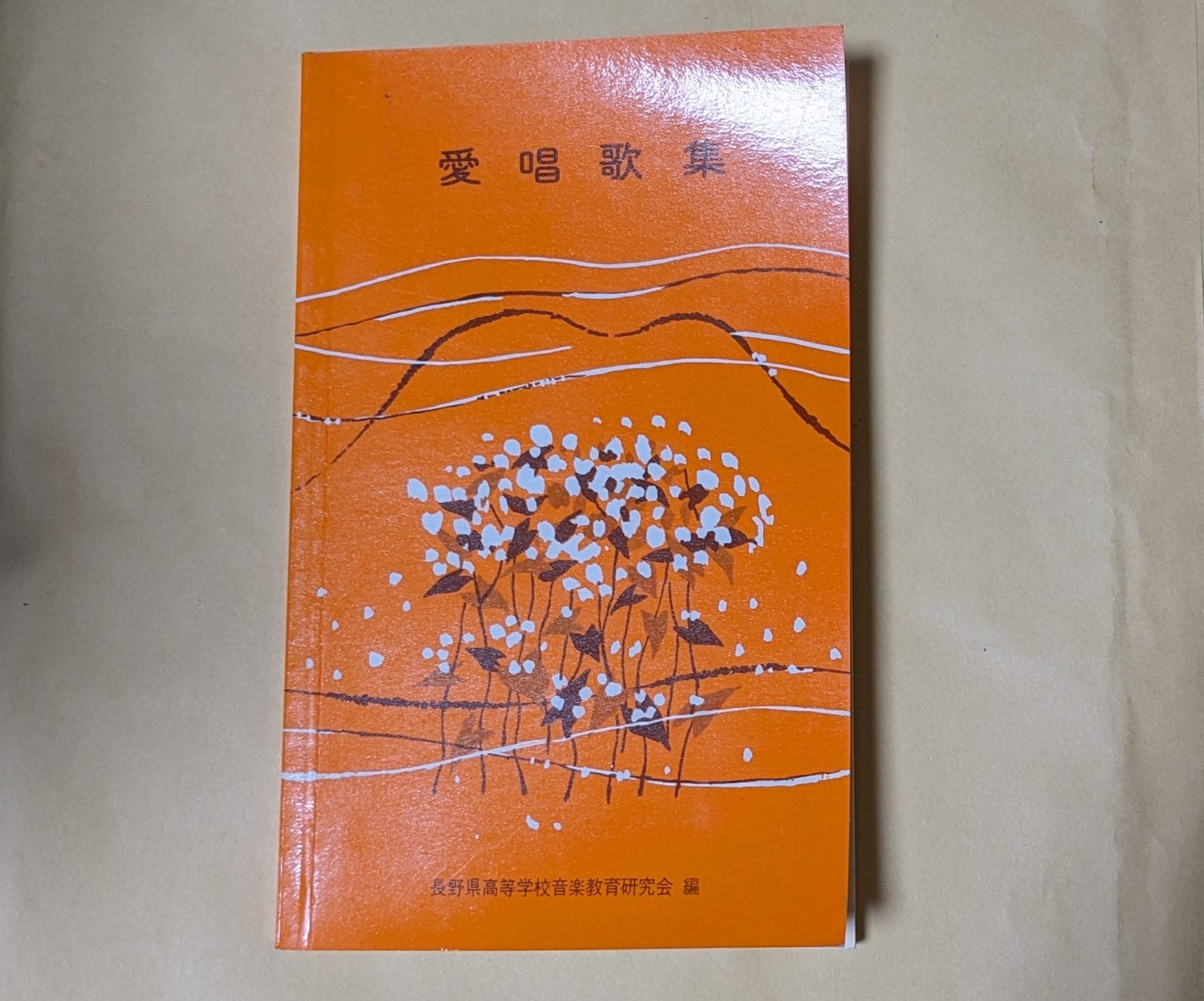 PXL_20240714_044115202.